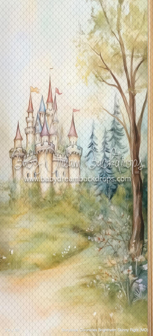 Storybook Chronicles Brighthelm Skinny Right (MD)