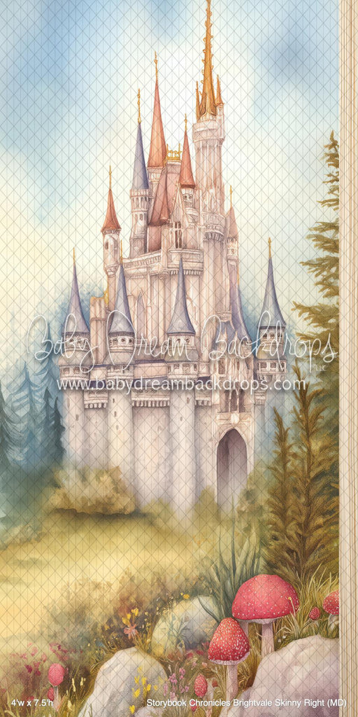 Storybook Chronicles Brightvale Skinny Right (MD)