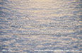 Storybook Chronicles Mean One Snow Floor (MD)