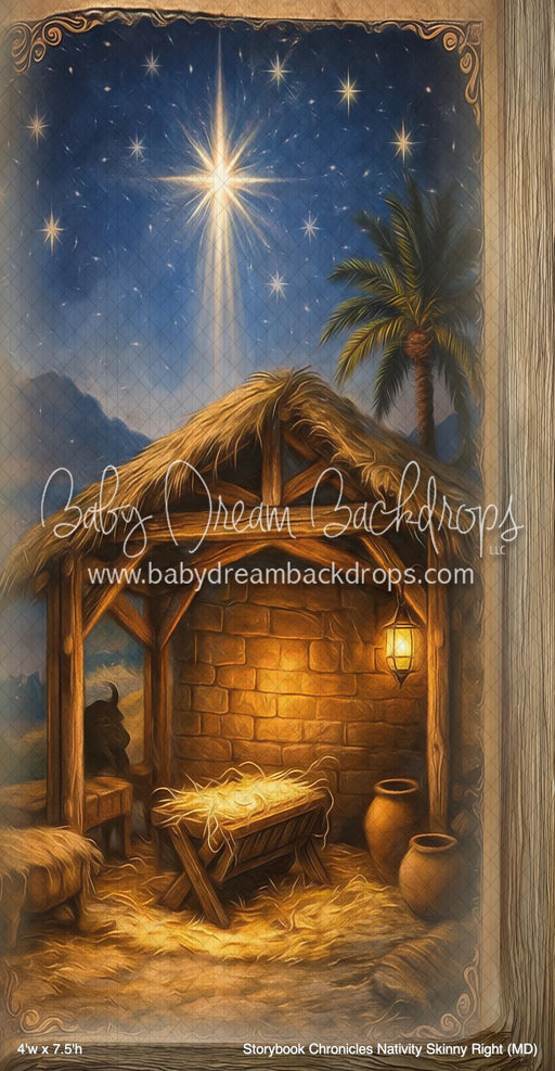 Storybook Chronicles Nativity Skinny Right (MD)