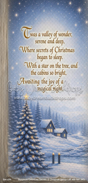 Storybook Chronicles Secrets of Christmas Skinny Left with text (MD)