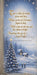 Storybook Chronicles Secrets of Christmas Skinny Left with text (MD)