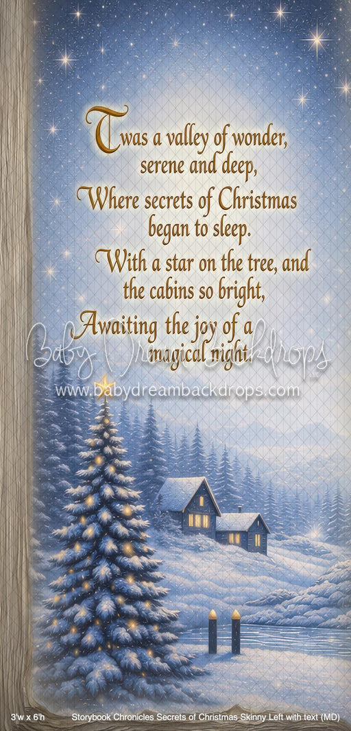Storybook Chronicles Secrets of Christmas Skinny Left with text (MD)
