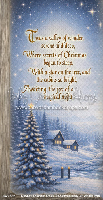 Storybook Chronicles Secrets of Christmas Skinny Left with text (MD)