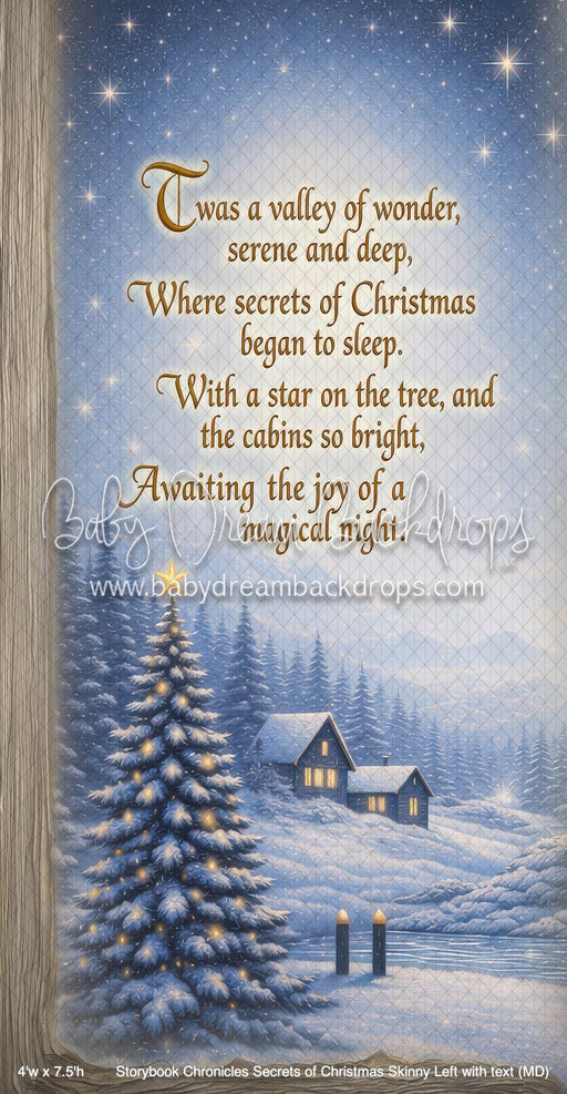 Storybook Chronicles Secrets of Christmas Skinny Left with text (MD)