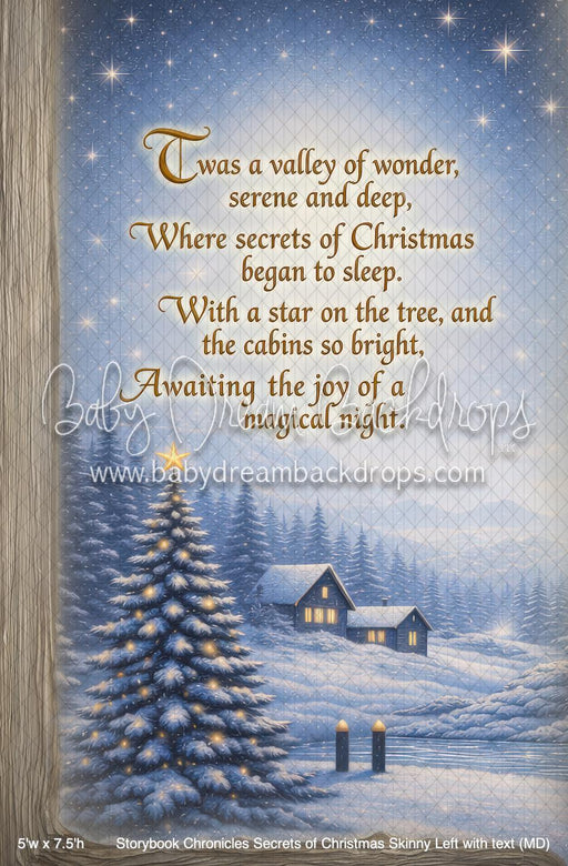 Storybook Chronicles Secrets of Christmas Skinny Left with text (MD)