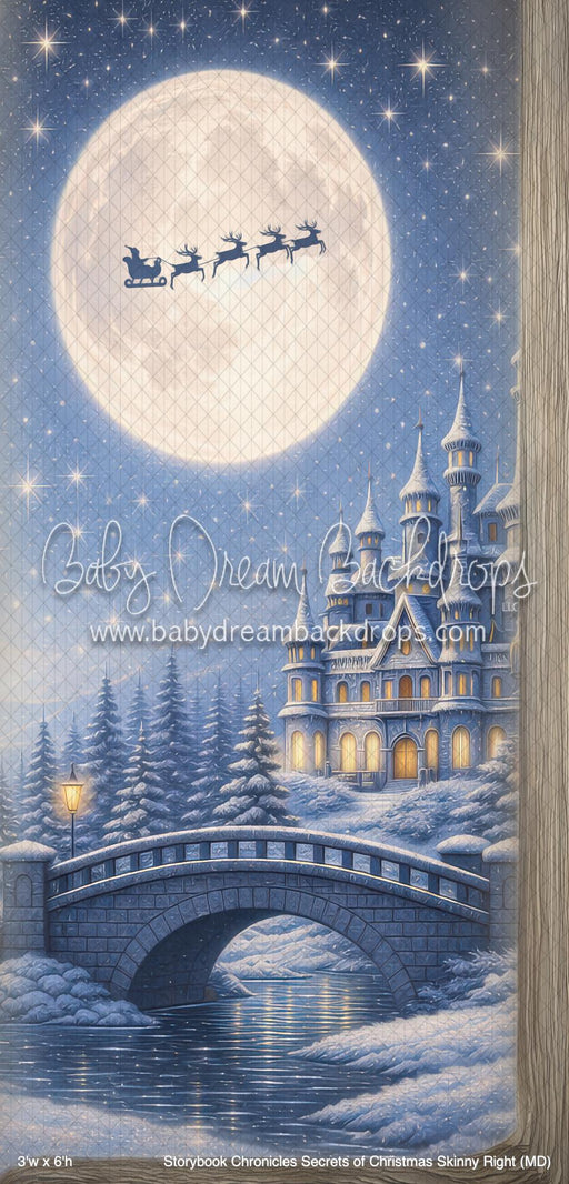 Storybook Chronicles Secrets of Christmas Skinny Right (MD)