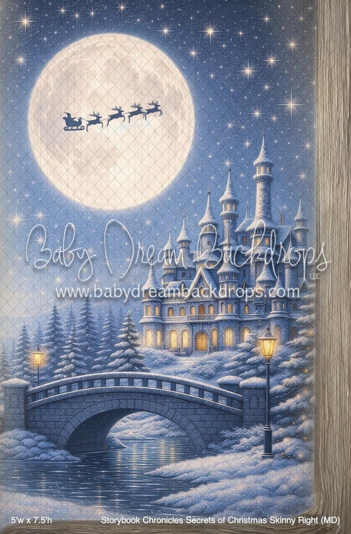 Storybook Chronicles Secrets of Christmas Skinny Right (MD)