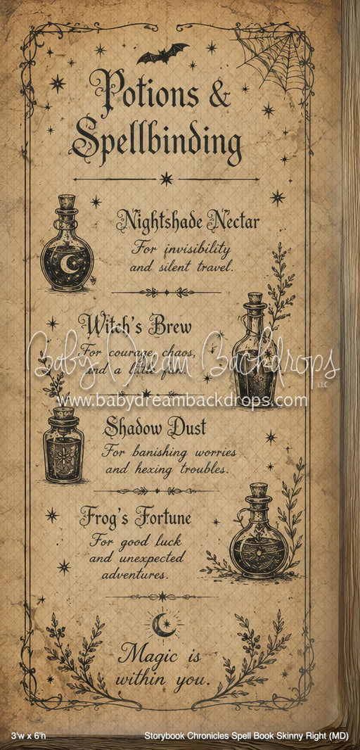 Storybook Chronicles Spell Book Skinny Right (MD)