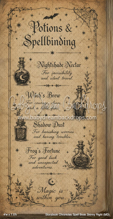 Storybook Chronicles Spell Book Skinny Right (MD)