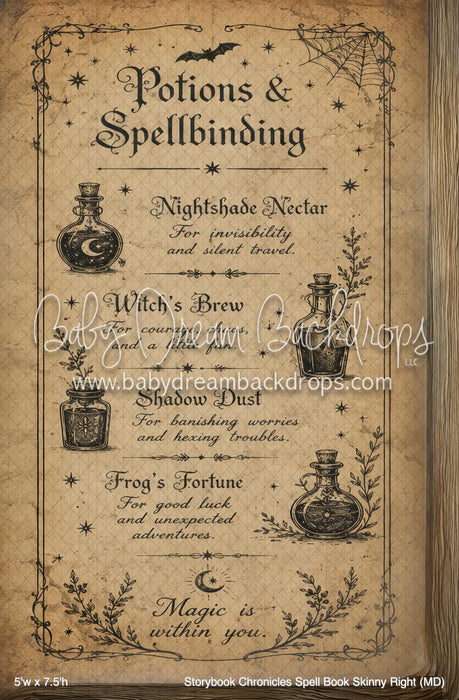 Storybook Chronicles Spell Book Skinny Right (MD)