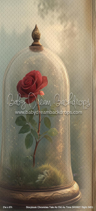 Storybook Chronicles Tale As Old As Time SKINNY Right (MD)