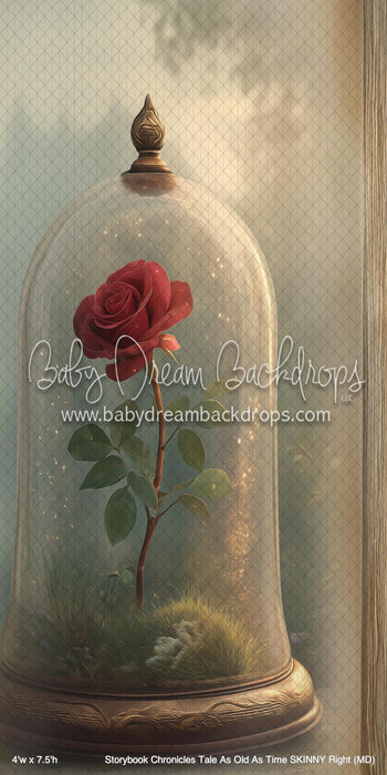 Storybook Chronicles Tale As Old As Time SKINNY Right (MD)