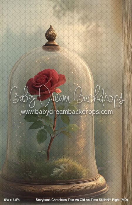 Storybook Chronicles Tale As Old As Time SKINNY Right (MD)