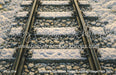 Storybook Chronicles Winter's Journey Village Floor (MD)