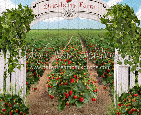 Strawberry Farm Field (JA)