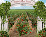 Strawberry Farm Field (JA)