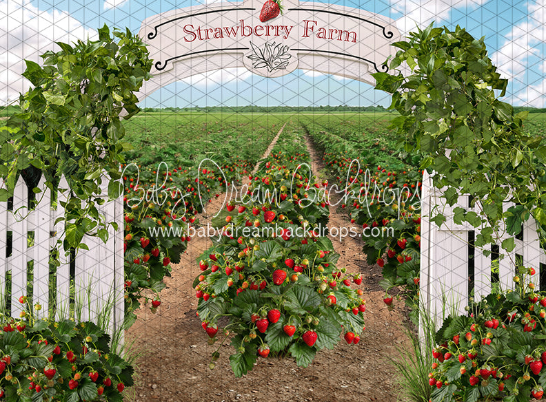 Strawberry Farm Field (JA)