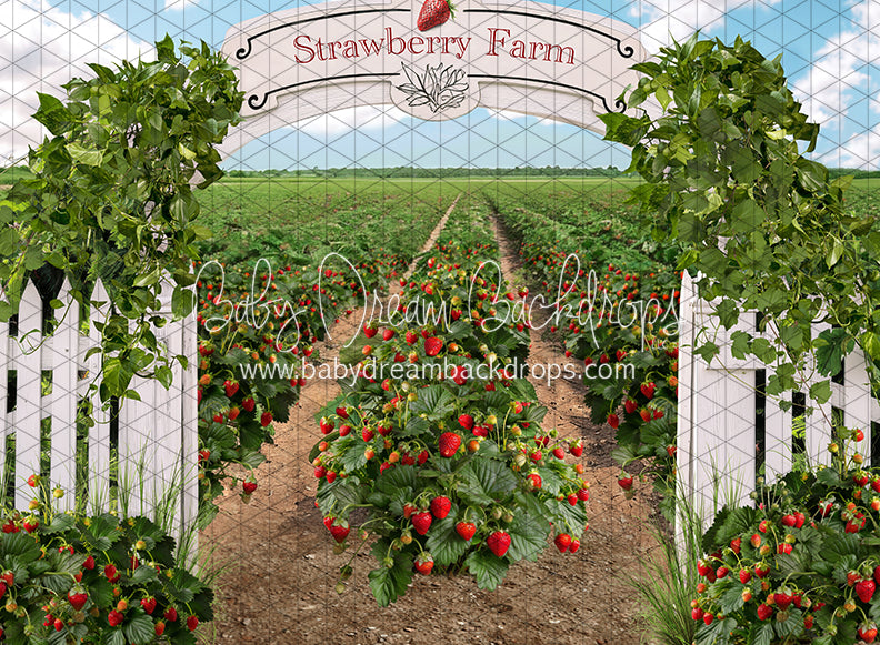 Strawberry Farm Field (JA)