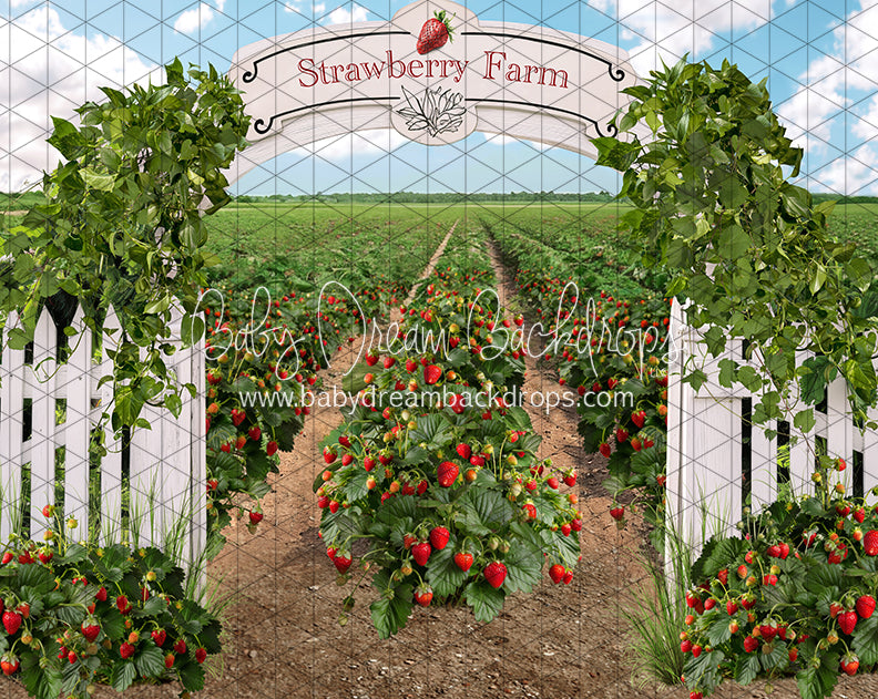 Strawberry Farm Field (JA)