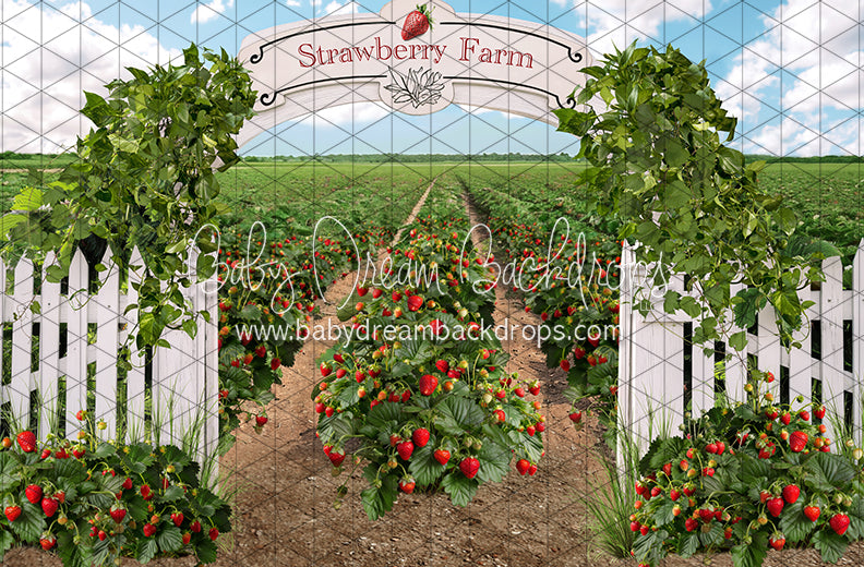 Strawberry Farm Field (JA)