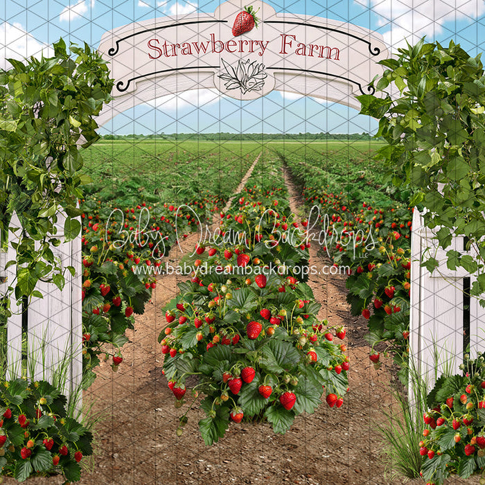 Strawberry Farm Field (JA)