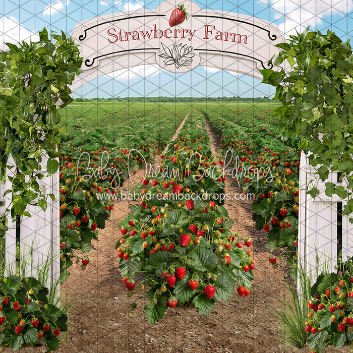 Strawberry Farm Field (JA)
