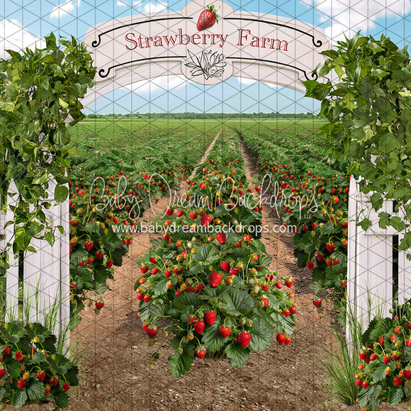 X Drop Strawberry Farm Field (JA)