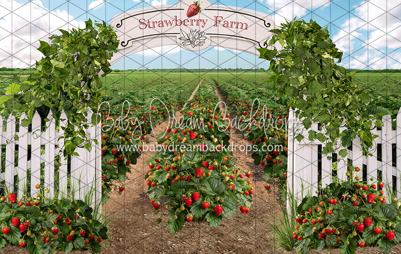 Strawberry Farm Field (JA)