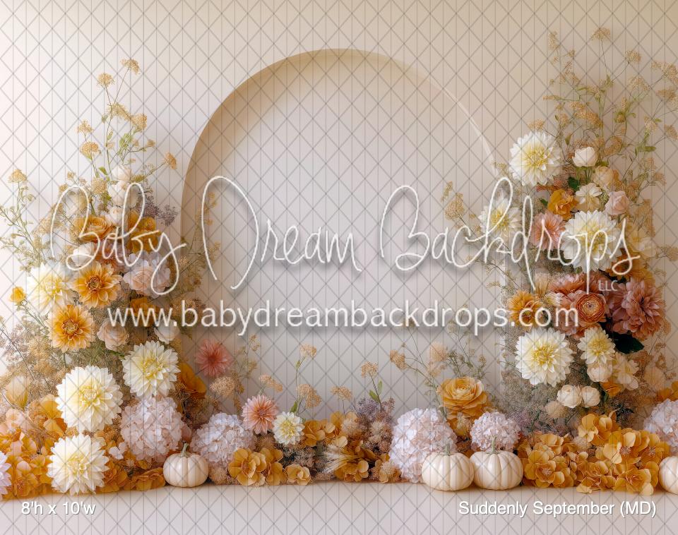 Suddenly September (MD) — Baby Dream Backdrops