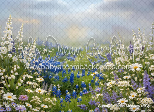 Summer Dance Meadow (CC)