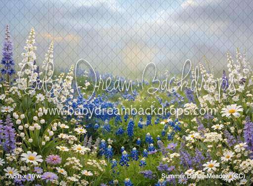 Summer Dance Meadow (CC)