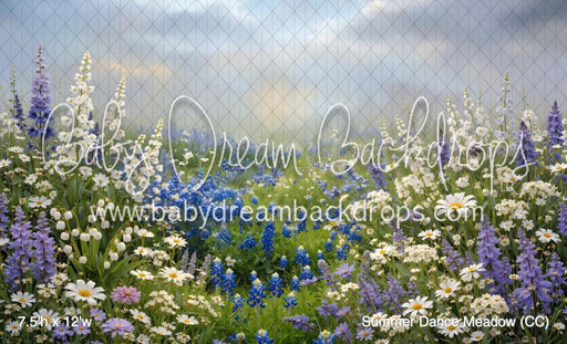 Summer Dance Meadow (CC)