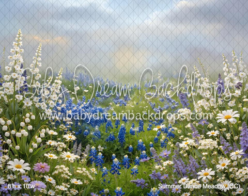 Summer Dance Meadow (CC)