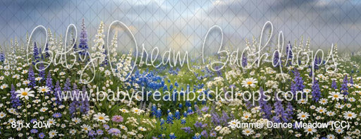 Summer Dance Meadow (CC)