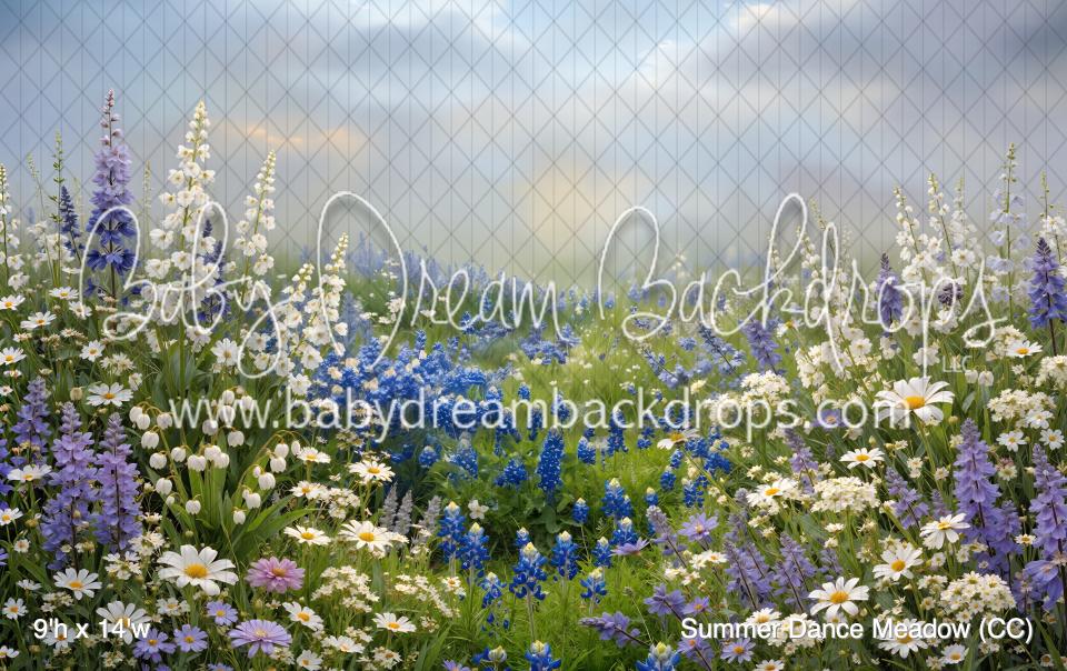 Summer Dance Meadow (CC)