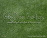 Summer Green Grass Floor (WM)