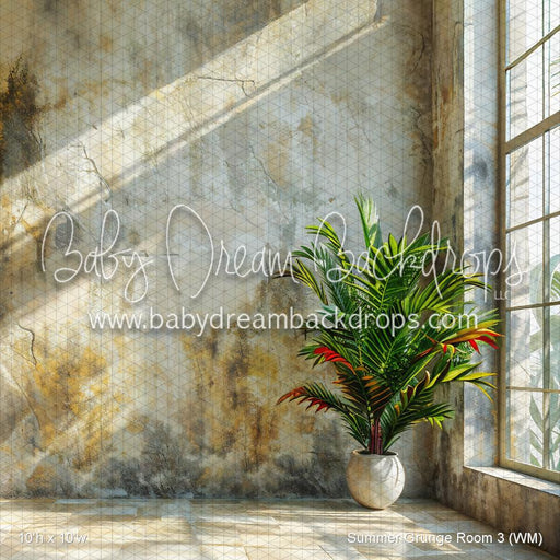 Summer Grunge Room 3 (WM)