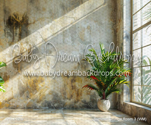 Summer Grunge Room 3 (WM)