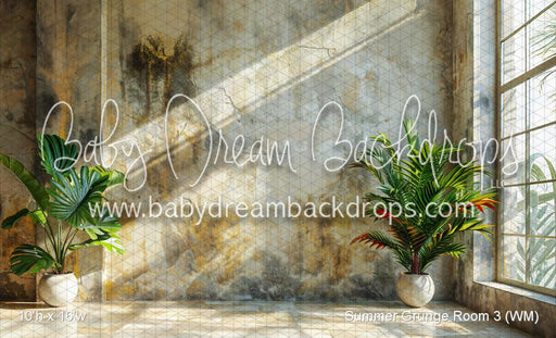 Summer Grunge Room 3 (WM)