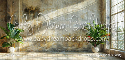 Summer Grunge Room 3 (WM)