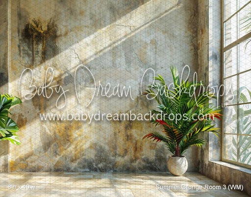 Summer Grunge Room 3 (WM)