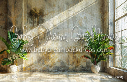 Summer Grunge Room 3 (WM)