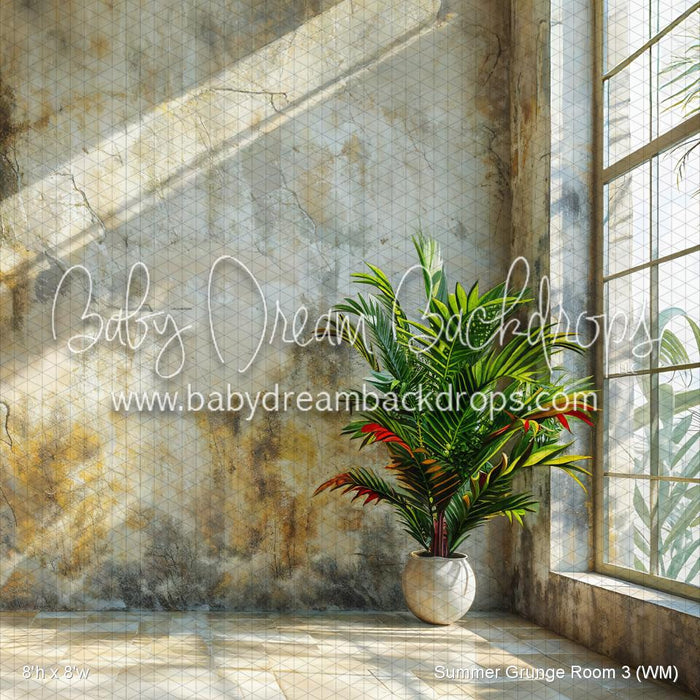 Summer Grunge Room 3 (WM)