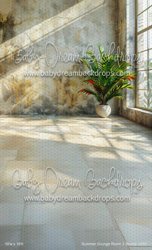 Summer Grunge Room 3 Sweep (WM)
