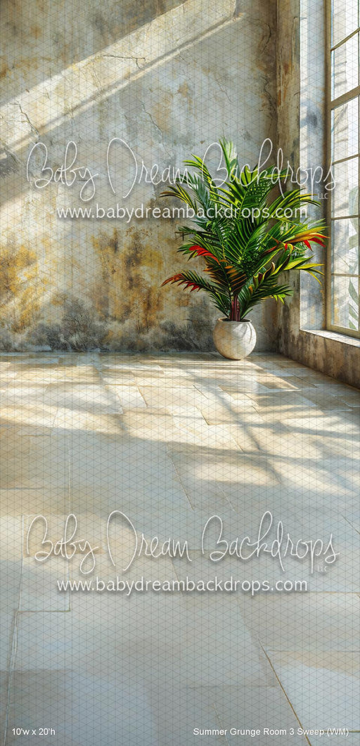 Summer Grunge Room 3 Sweep (WM)