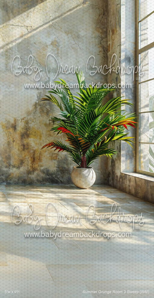 Summer Grunge Room 3 Sweep (WM)