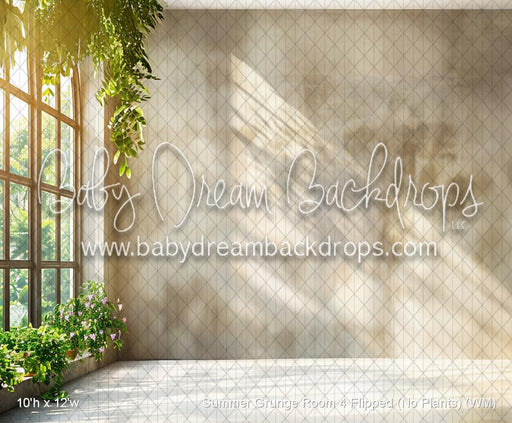 Summer Grunge Room 4 Flipped (No Plants) (WM)