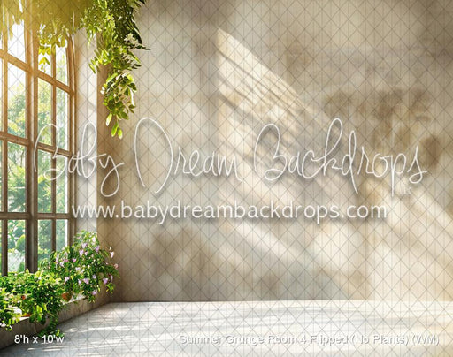 Summer Grunge Room 4 Flipped (No Plants) (WM)