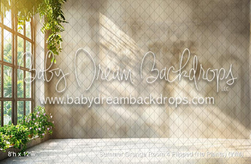 Summer Grunge Room 4 Flipped (No Plants) (WM)